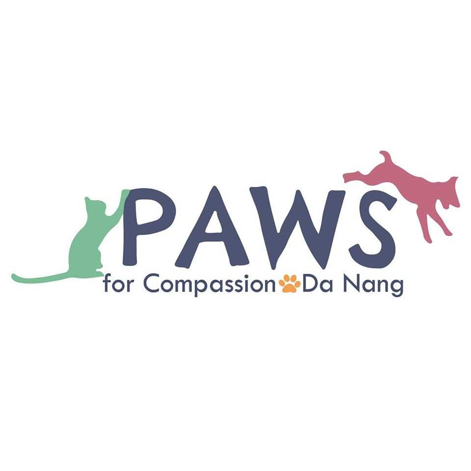 https://avnaudit.vn/wp-content/uploads/2019/12/paws_compressed.jpg